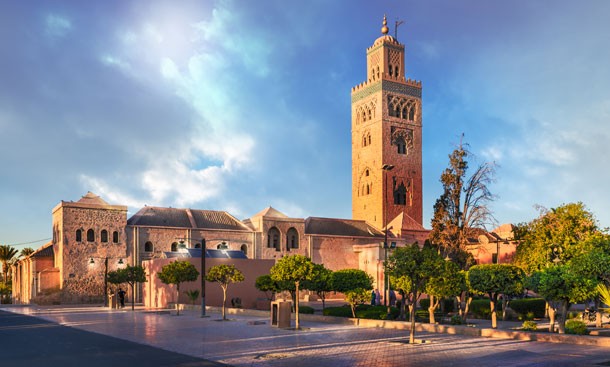 Beyond the Jemaa el-Fna: An Insider's Guide to Marrakech's Hidden Gardens