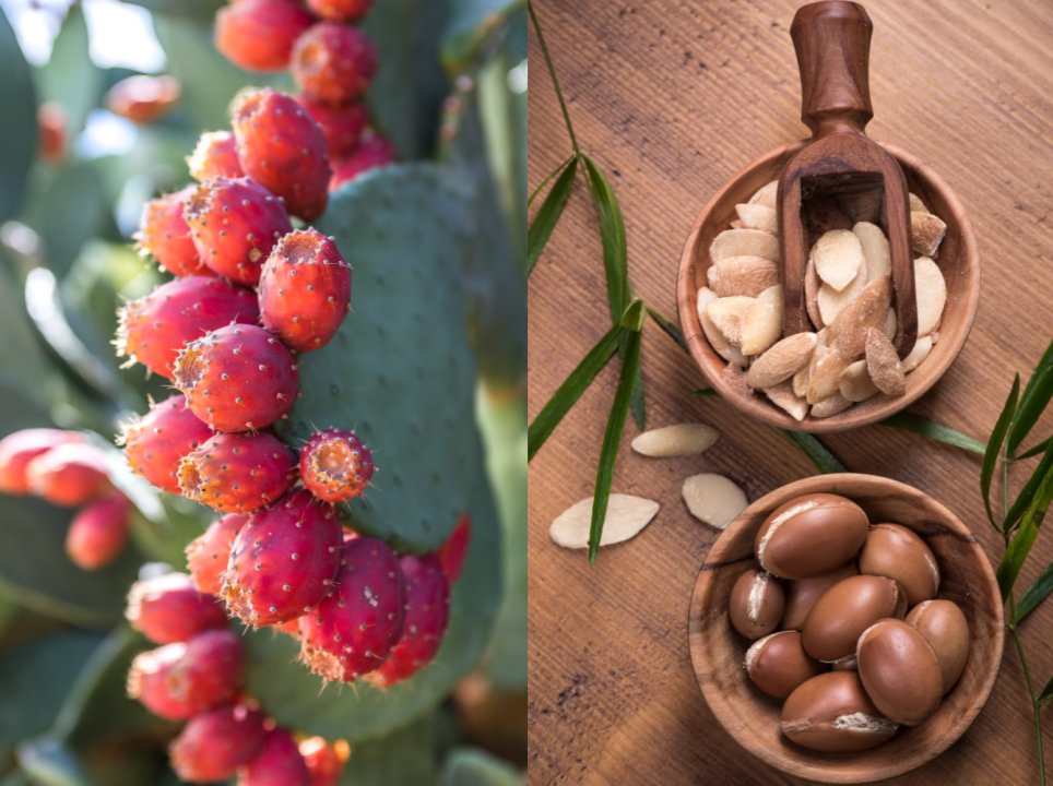 The Battle of the Botanicals: Argan vs. Prickly Pear