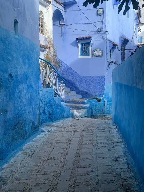 The morning light filtering through Chefchaouen's indigo alleys.. Source: Dawn / Morocco's blue city of Chefchaouen is more than just an Instagram ...